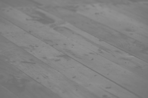 Online-Kurs erstellen mit Lisa Gebler
